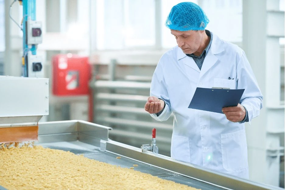 Quality inspector checking product on a processing line