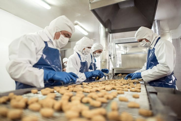 Food safety workers inspecting a production line
